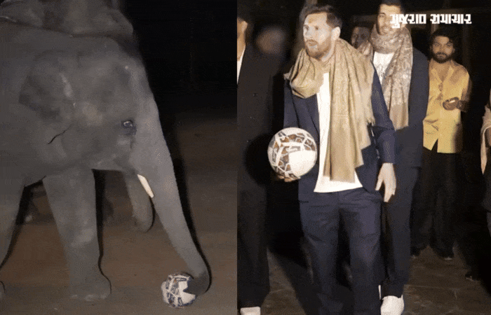 VIDEO: મેસી વનતારામાં  'માણેકલાલ' સાથે ફૂટબોલ રમ્યો, વર્લ્ડ સ્ટાર ફૂટબોલર માટે યાદગાર ક્ષણ