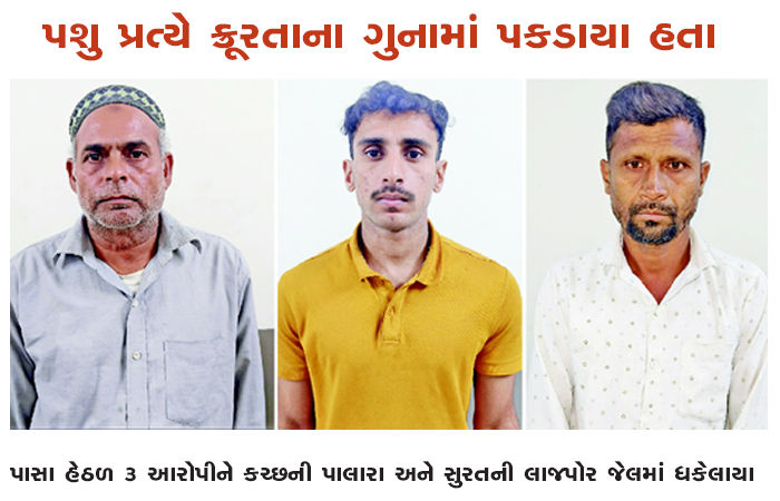 પાસા હેઠળ 3 આરોપીને કચ્છની પાલારા અને સુરતની લાજપોર જેલમાં ધકેલાયા