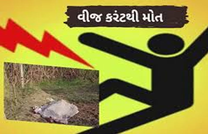ખેતરની કાંટાળી વાડમાં વીજ પ્રવાહ ચાલુ કરાતા કરંટથી યુવાનનું મોત
