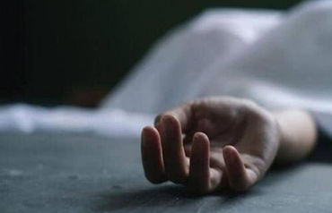 Indian teen dies in  horse carriage accident during first New York trip