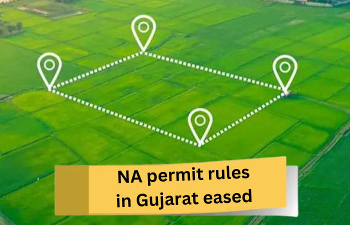 Gujarat eases non-agricultural land permit rules: Premium on jantri cut from 30% to 10%