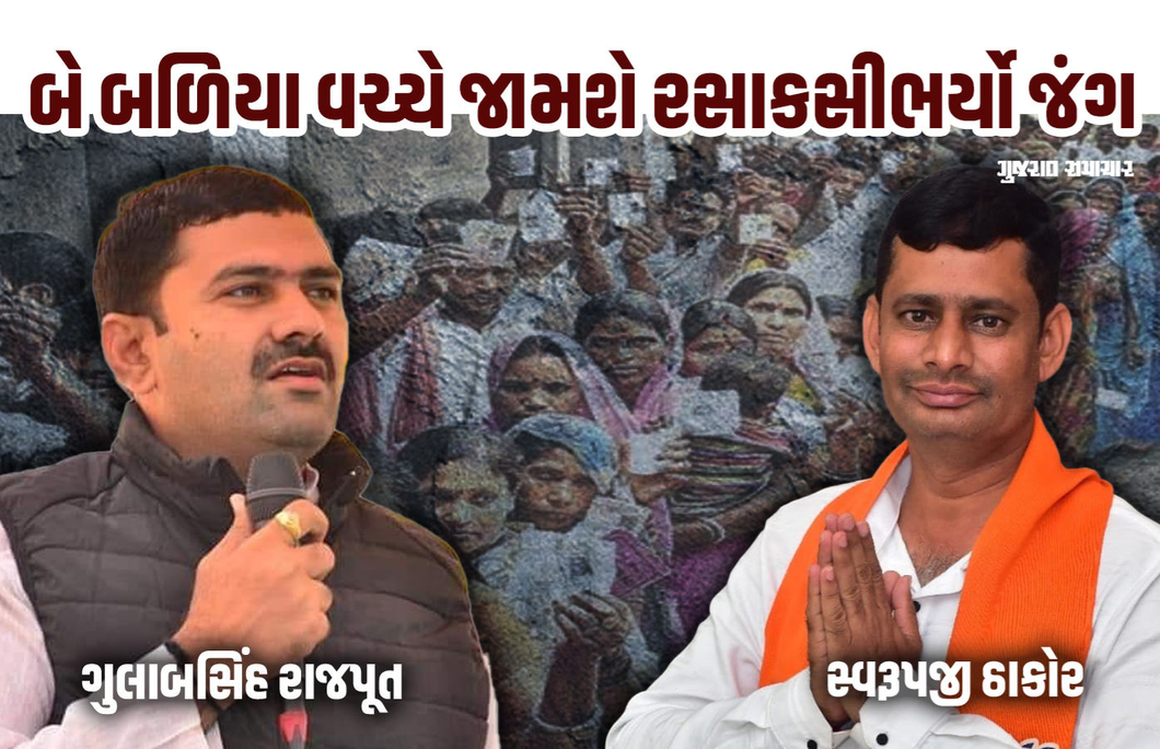 વાવ બેઠક પર રાજપૂતોનું રાજ કે પછી ઠાકોર સમાજનો ઠાઠ? જાણો કેવા છે જાતિગત સમીકરણો
