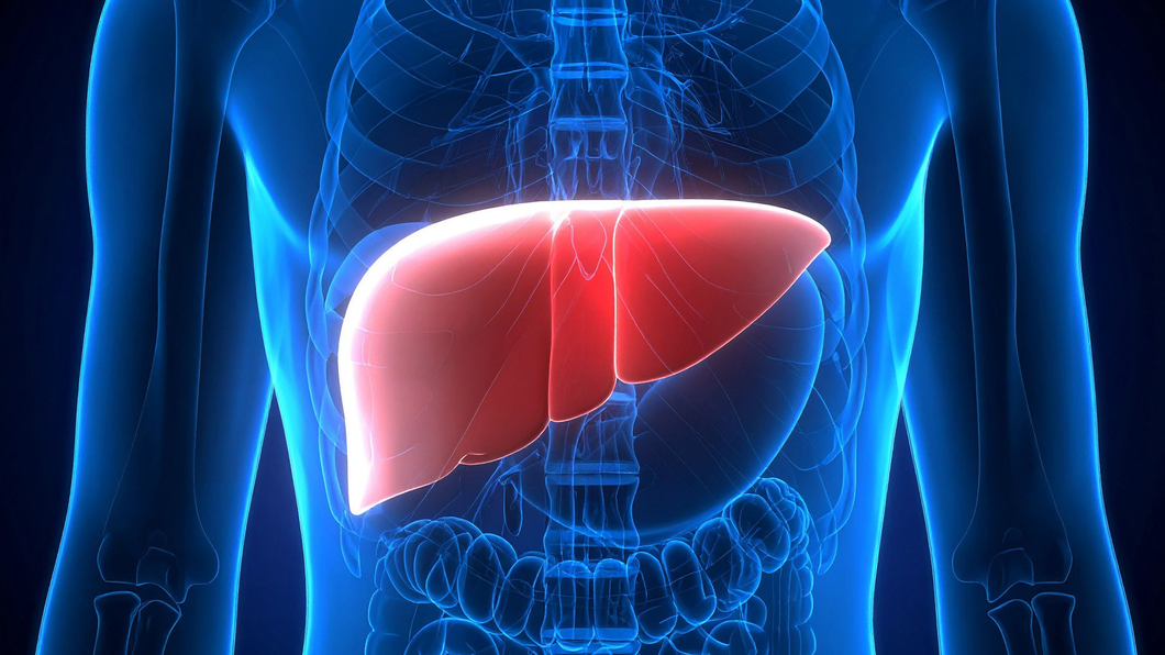 Fatty liver affects nearly 4 in 10 adults in India, finds study published in Lancet