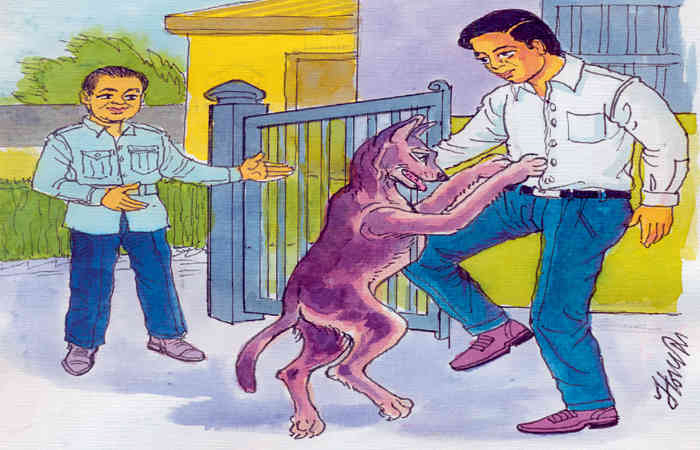 સમયની સ્નિગ્ધ ભીનાશ .