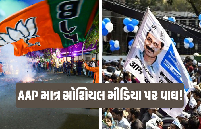 સુરત સ્થાનિક સ્વરાજની ચૂંટણીમાં પાટીદાર વિસ્તારમાં ભાજપનું કમબેક, AAPને આ ફેક્ટર નડ્યું