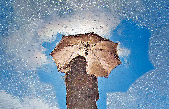 The Science of Rain                                            .
