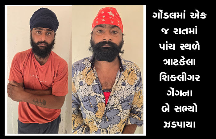 ગોંડલમાં એક જ રાતમાં પાંચ સ્થળે ત્રાટકેલા શિકલીગર ગેંગના બે સભ્યો ઝડપાયા