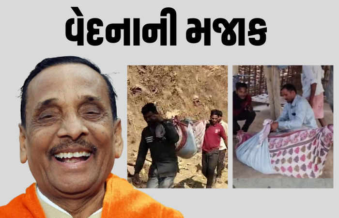 'ટેકરા પર મકાન હોય તો થોડી એમ્બ્યુલન્સ જાય?', સગર્ભાને ઝોળીમાં લઈ જવા મુદ્દે ભાજપ ધારાસભ્યની અસંવેદનશીલતા