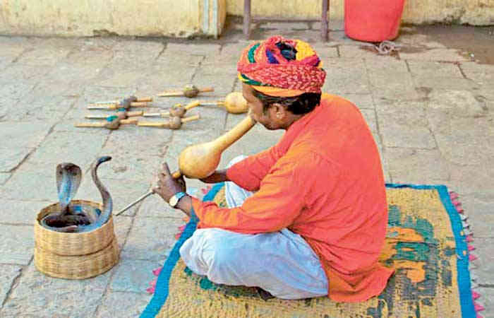 નાગીનની ધૂન પર નાચો તો નોકરી જોખમાય