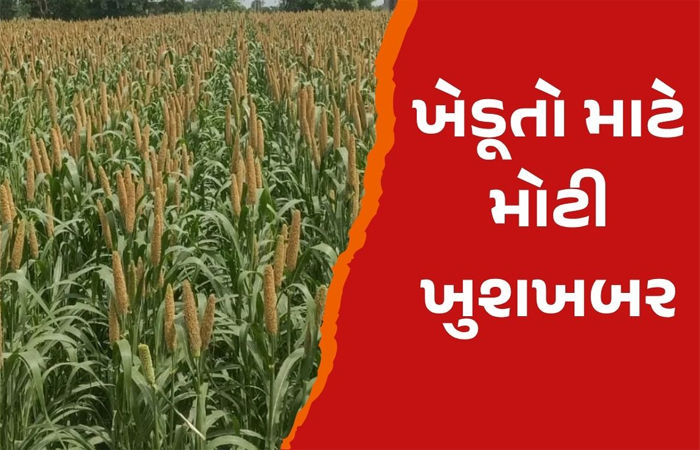 ટેકાના ભાવે બાજરી, જુવાર અને મકાઈની ખરીદી કરાશે : આજથી ફોર્મ ભરવાનું શરૂ