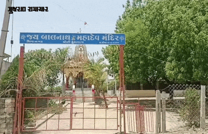અમરેલી: કુકાવાવમાં તાલીમ લઈ રહેલી આંગણવાડીની બહેનો પર મધમાખીનો હુમલો, 25થી વધુ ઇજાગ્રસ્ત