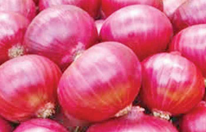 વોર ઇફેક્ટ વચ્ચે ડુંગળીની નિકાસને ફટકો
