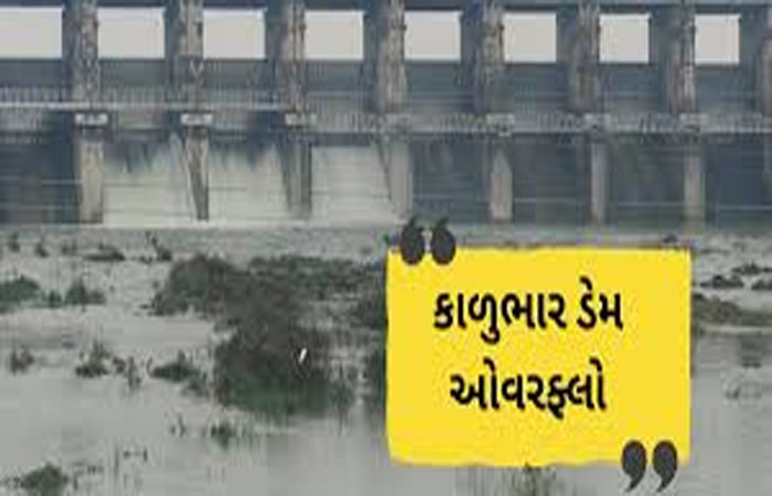 ભાવનગર-બોટાદ જિલ્લાના 4 ડેમમાં 90 ટકાથી વધુ જળસંગ્રહ