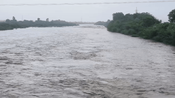 અમરેલીના ખોડિયાર ડેમમાંથી પાણી છોડાતા શેત્રુંજી નદી બે કાંઠે, ઠેબી અને સુરવો ડેમ ભરાયા