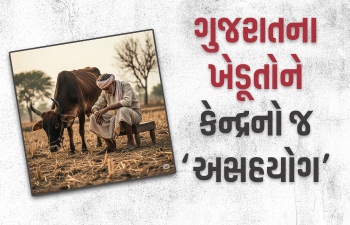 પરંપરાગત ખેતીમાં ગુજરાતને કેન્દ્રનો 'અસહકાર', સજીવ ખેતી માટે 13 કરોડને બદલે માત્ર 4 કરોડ આપ્યા
