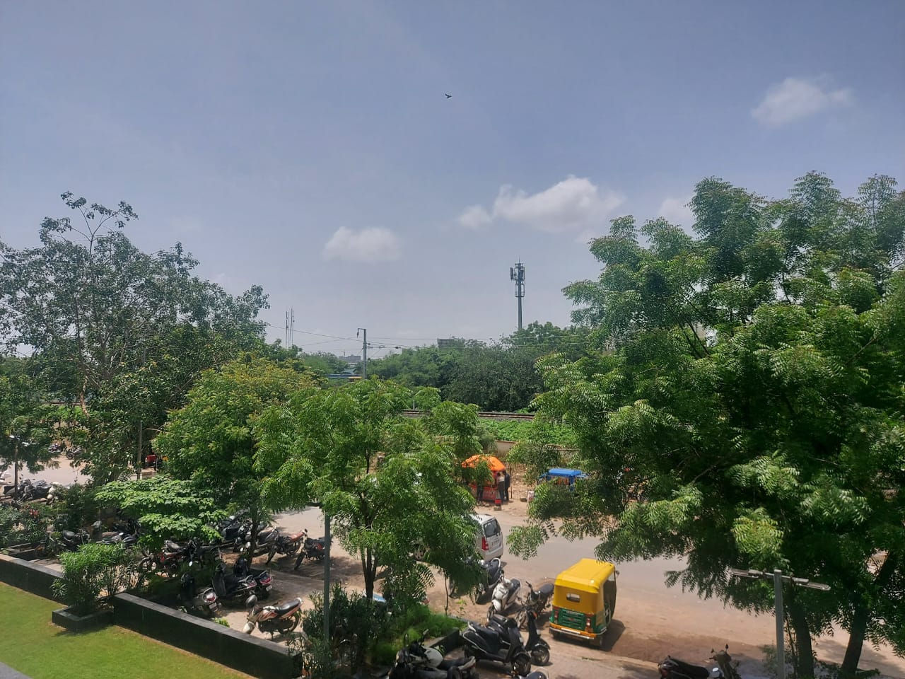 અમદાવાદમાં વૃક્ષ ગણતરી કામગીરીનુ  તારણ, નવરંગપુરા વોર્ડમાં સૌથી વધુ ૧.૮૦ લાખ,દરિયાપુરમાં ૬૫૧ વૃક્ષ  મળ્યા