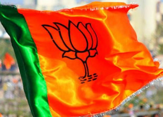 વડોદરાના આઠ તાલુકામાંથી બે તાલુકાના પ્રમુખ નક્કી,બાકીનાની પેનલ તૈયારઃજિ.પં.માં હોદ્દા માટે દોડધામ