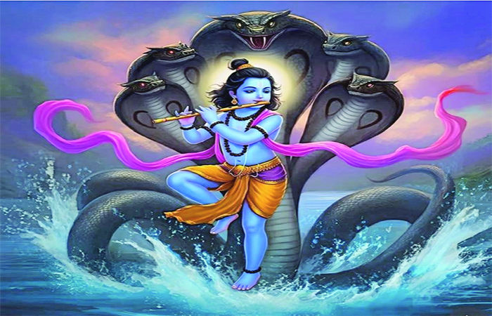 શ્રીકૃષ્ણ : એક કુશળ રાજકારણી, નિષ્ણાત તબીબ અને દૂરદર્શી ઈજનેર હતા