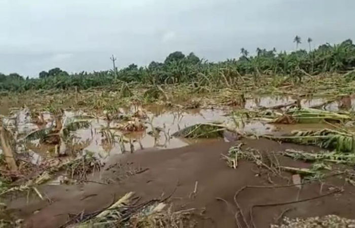Gujarat’s Climate Paradox: Unseasonal rains and agricultural turmoil