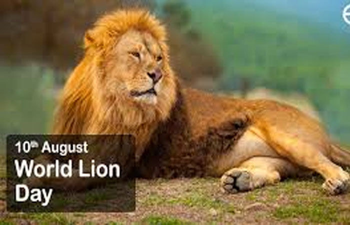 રવિવારે શાળાઓ ચાલુ રાખી વિશ્વ સિંહ દિન ઉજવણીનાં પરિપત્ર સામે ઉગ્ર વિરોધ