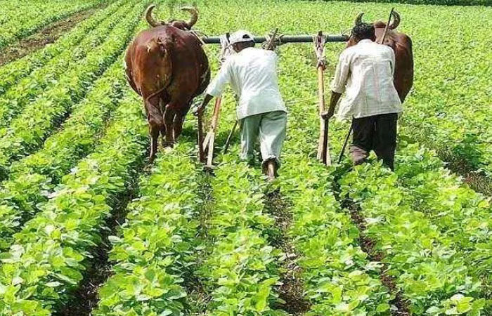 Gujarat farmers await ₹102 crore in relief fund