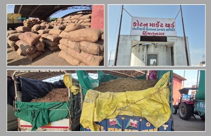 સાબરકાંઠામાં તમાકુની ખરીદીનો પ્રારંભ: 3 દિવસમાં 8 હજાર બોરીની આવક, ઉંચા ભાવ મળતા ખેડૂતોમાં ખુશી