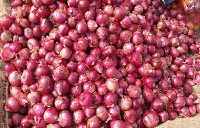 25-30 રૂપિયે વેચાતી ડુંગળીના ખેડૂતોને રૂા.12 પણ માંડ મળે છે