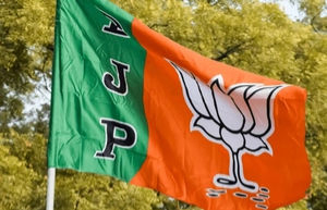 BJP to finalise over 220 office bearers for local bodies in Gujarat