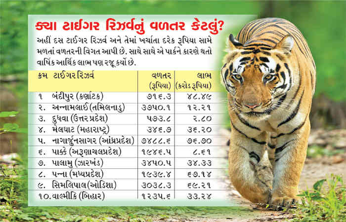 વાઘ પાછળ ખર્ચાતા દરેક રૂપિયાનું 2500 ગણું વળતર!