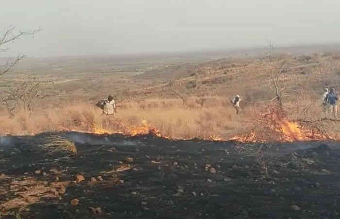 ધારી ગીર પૂર્વના મીતીયાળા અભ્યારણમા આગ