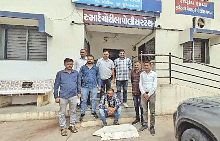 ચોટીલાના કાળાસર ગામમાં ગાંજાના 38 છોડ સાથે શખ્સ ઝડપાયો