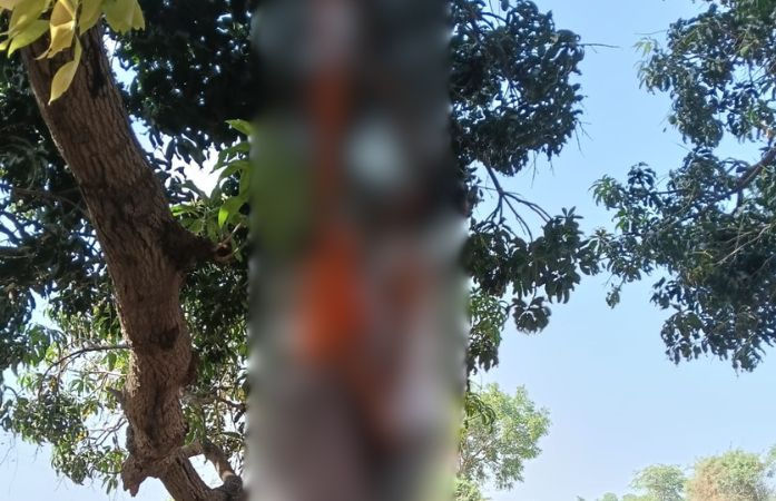 ગાંધીનગરના ચિલોડામાં હચમચાવતી ઘટના, પ્રેમી પંખીડાએ વૃક્ષ પર ગળે ફાંસો ખાઈ લેતા ચકચાર