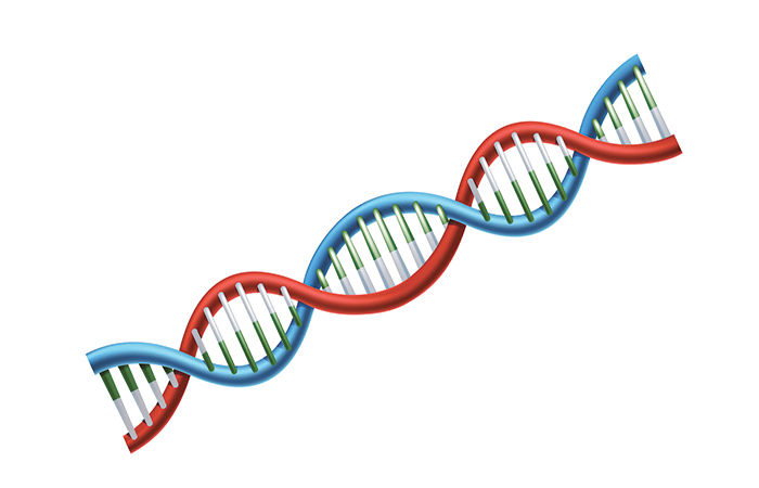 માનસિક તણાવની DNA પર થતી અસર