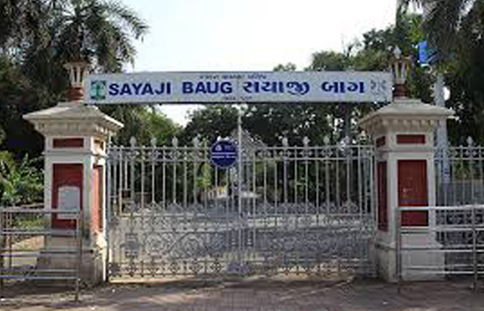 દીપડાની પજવણી મામલે રીલ ક્રિએટર સામે ફરિયાદ