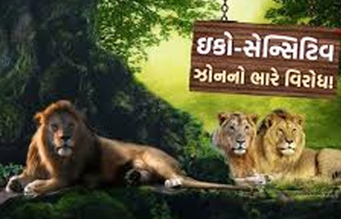 ઈકો ઝોન આસામ સરકારે જનહિતમાં રદ કર્યો : તો ગીરમાંથી રદ કેમ નહીં