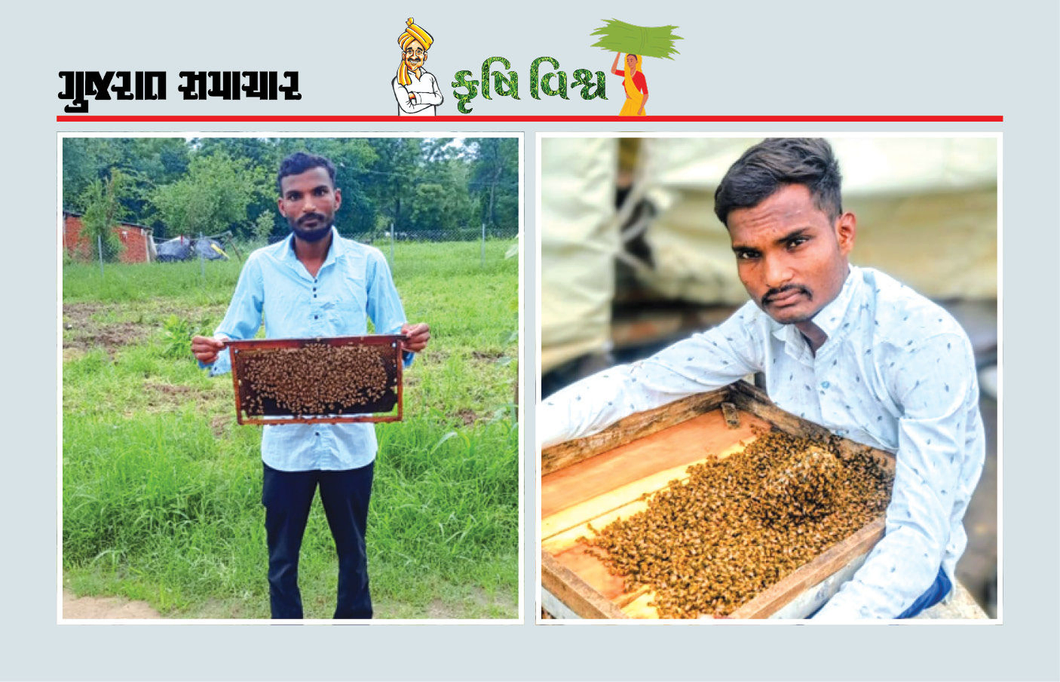 માનવામાં નહીં આવે પણ મઘમાખી ઉછેર દ્વારા મેળવી વર્ષે લાખો રૂપિયાની આવક