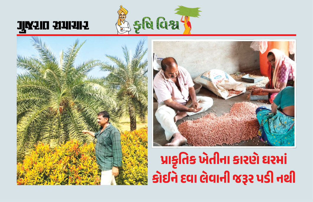 જ્યાં જમીન શુદ્ધ ત્યાં જીવન શુદ્ધ : દવા વગરનાં 7 વર્ષ