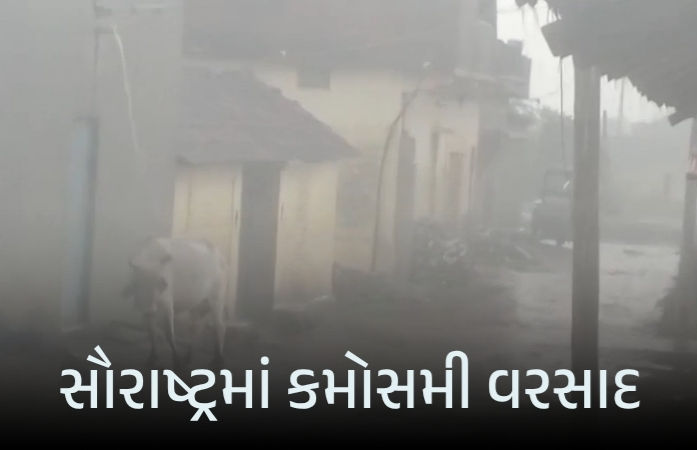 સૌરાષ્ટ્રમાં કમોસમી વરસાદ: અમરેલી-વેરાવળમાં ખેડૂતોની ચિંતા વધી, ઘોઘા બંદર પર 3 નંબરનું સિગ્નલ