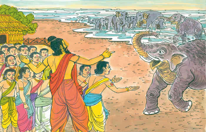 હાથી શીખવે ધૂળિયા પાઠ