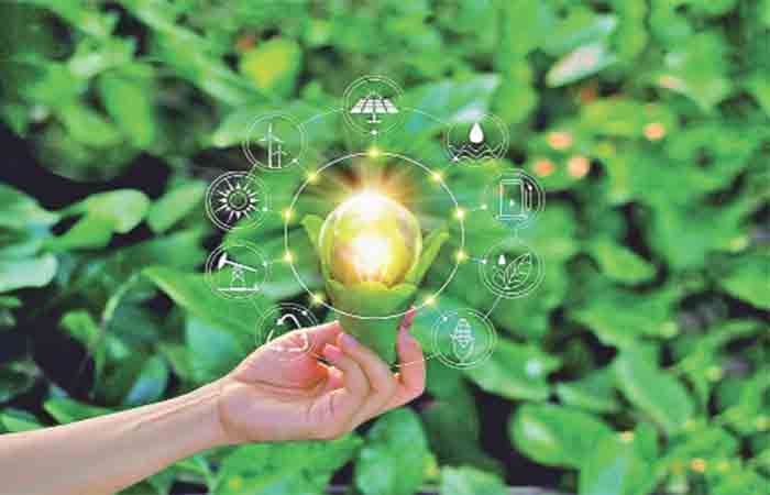 What is Green Energy?                               .