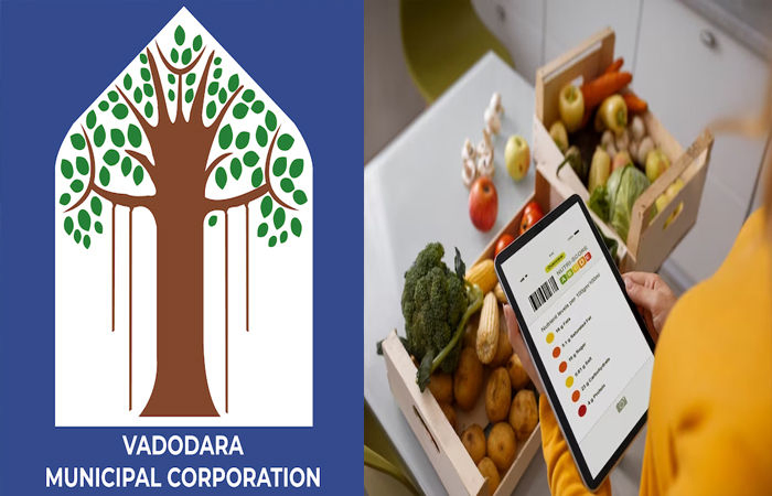 વડોદરામાં ગણેશોત્સવના તહેવારને ધ્યાનમાં રાખી આરોગ્ય વિભાગનું ચેકીંગ: 120 નમૂના લીધા, 127 કિલો ફરાળી લોટ જપ્ત