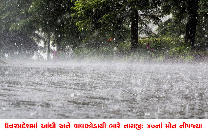 ઉત્તરપ્રદેશમાં આંધી અને વાવાઝોડાથી ભારે તારાજી : 47નાં મોત નીપજ્યા