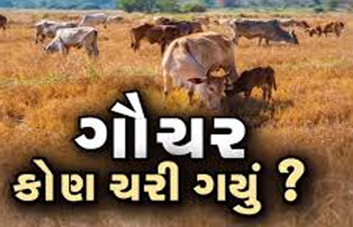 સાવરકુંડલામાં ગૌચર મામલે માલધારી સમાજનો મોરચોઃ રોષભેર સુત્રોચ્ચાર