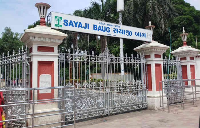 વડોદરાના સયાજીબાગ પ્રાણી સંગ્રહાલયમાં સફેદ વાઘ-વાઘણનું આકર્ષણ ઉમેરાશે