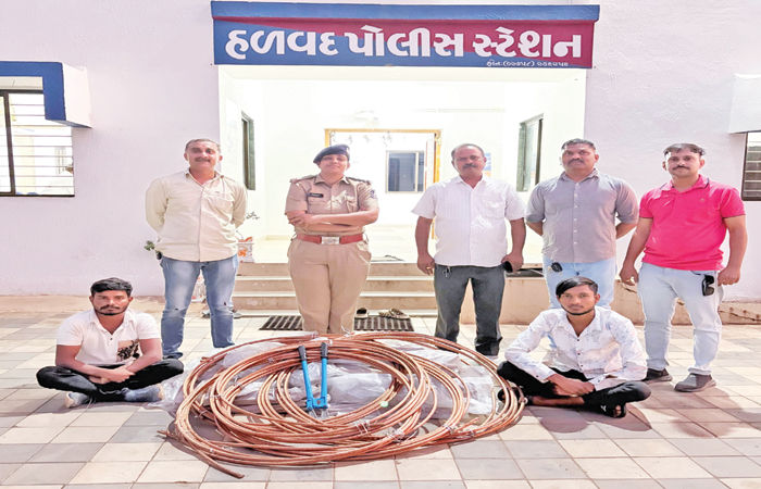 સોલાર પ્લાન્ટમાંથી કોપર વાયરની ચોરી કરનાર તસ્કરો ઝડપાયા