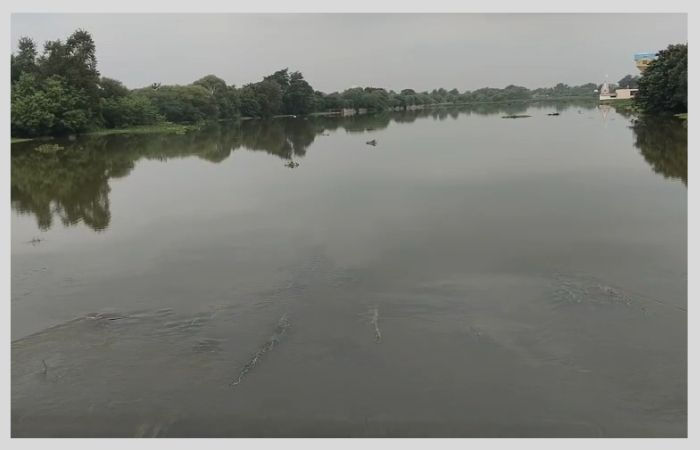 અમરેલી જિલ્લામાં મેઘમહેર : લાંબા વિરામ બાદ ધોધમાર વરસાદ, બાબરા પંથકમાં પૂર જેવી સ્થિતિ