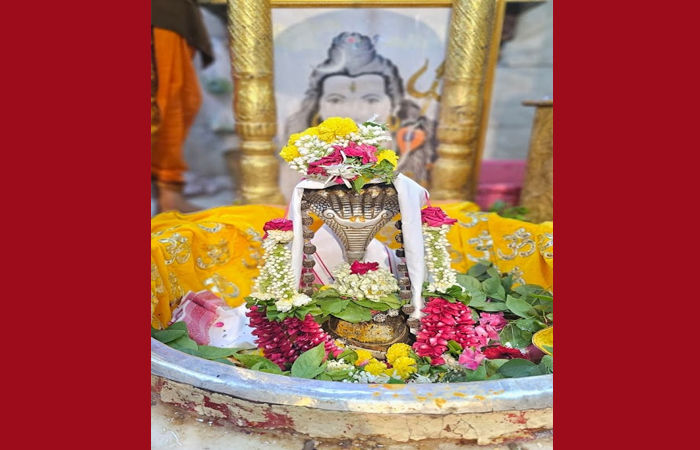 અધિક માસની સોમવતી અમાસે મહાદેવ મંદિરો ભક્તોના હર હર મહાદેવના નાદથી ગુંજી ઉઠ્યા