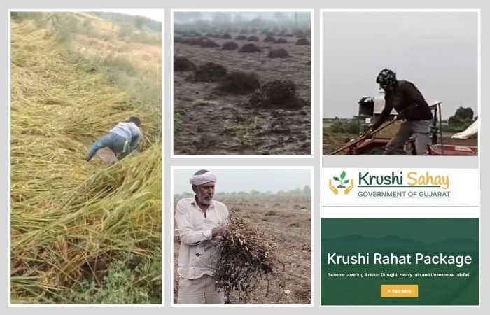 પાક નુકસાન સહાય પેકેજ: આવતીકાલથી ખેડૂતો ઓનલાઇન પોર્ટલ પર કરી શકશે અરજી, જાણો સમગ્ર પ્રક્રિયા