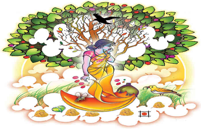 ઉનાળાનાં આશ્ચર્યો .