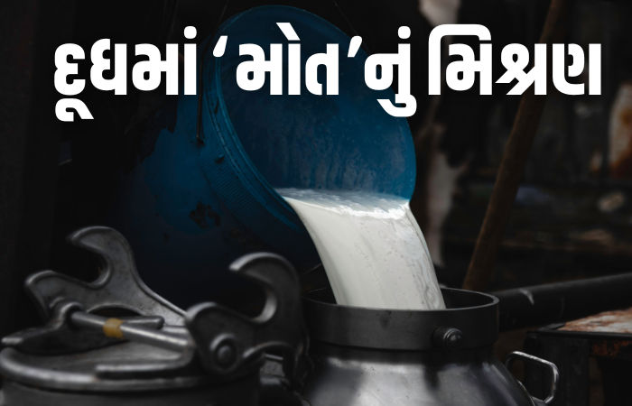 નકલી દૂધ પીવાથી 16ના મોત, 3 દર્દી ICUમાં! આંધ્ર પ્રદેશમાં 'સફેદ ઝેર'નો આતંક